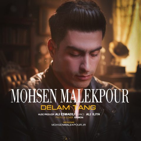 دانلود آهنگ محسن ملک پور دلم تنگ